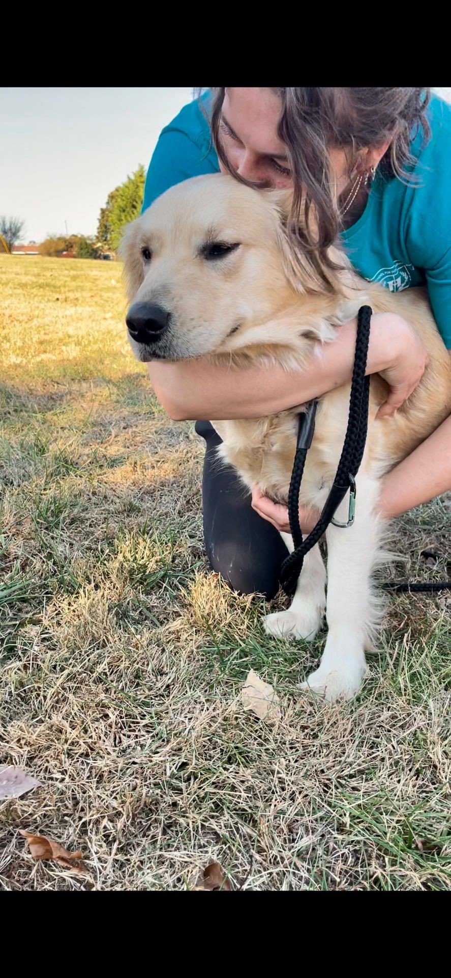 Therapy Dog Training